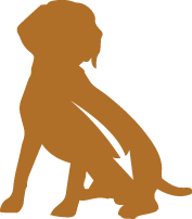 Monge Gemon All Breeds Puppy Junior con Pollo e Riso Cibo Secco per Cani Cuccioli di Tutte le Taglie