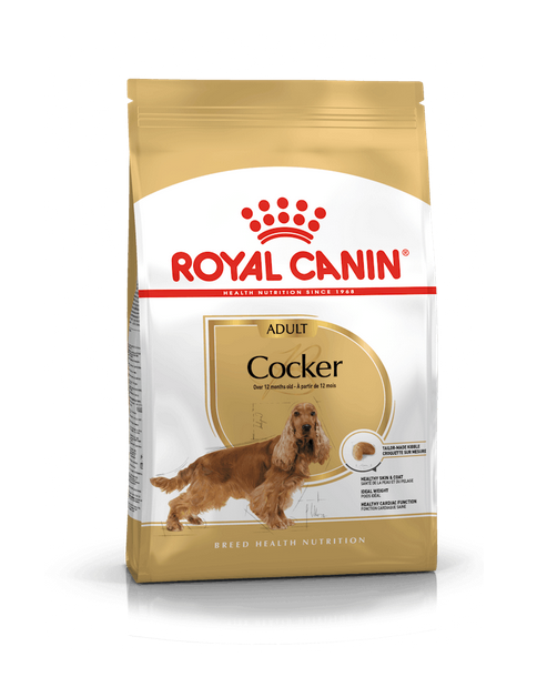 Royal Canin Cocker Adult Crocchette Per Cani Adulti e Maturi
