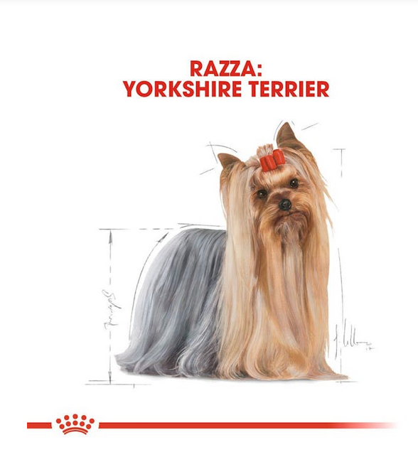 Royal Canin Yorkshire Terrier Adult Crocchette Per Cani Adulti