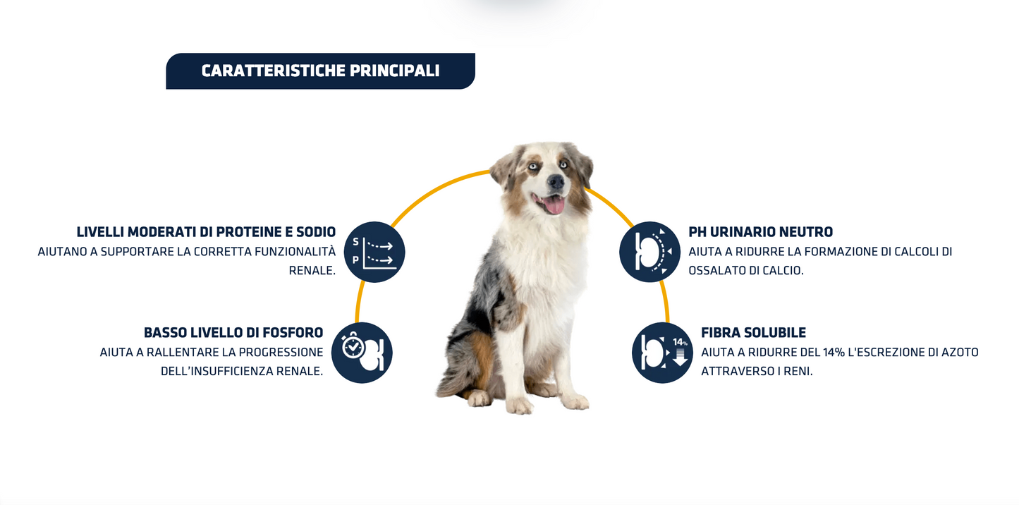 Advance Renal 12 kg - Crocchette Per Cani Adulti
