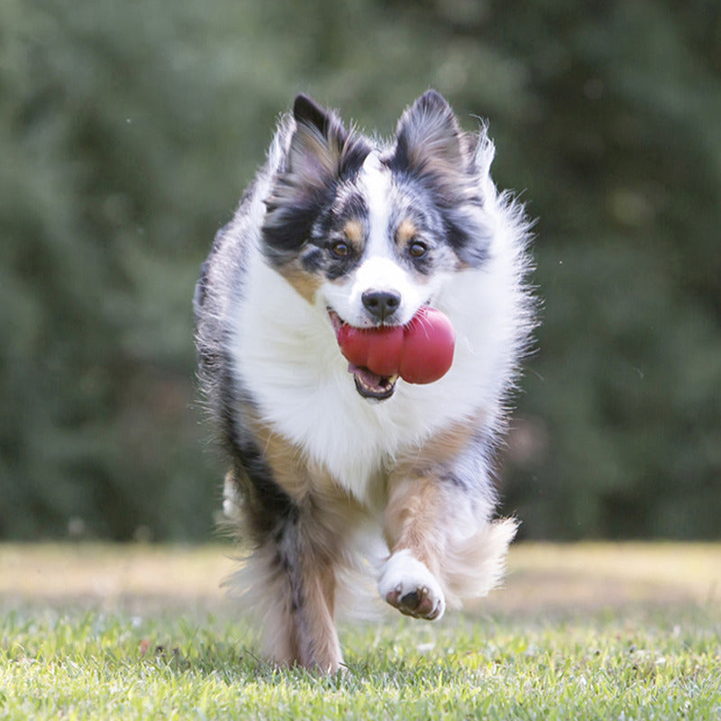 Kong Classic Rosso Gioco Per Cani e Cuccioli