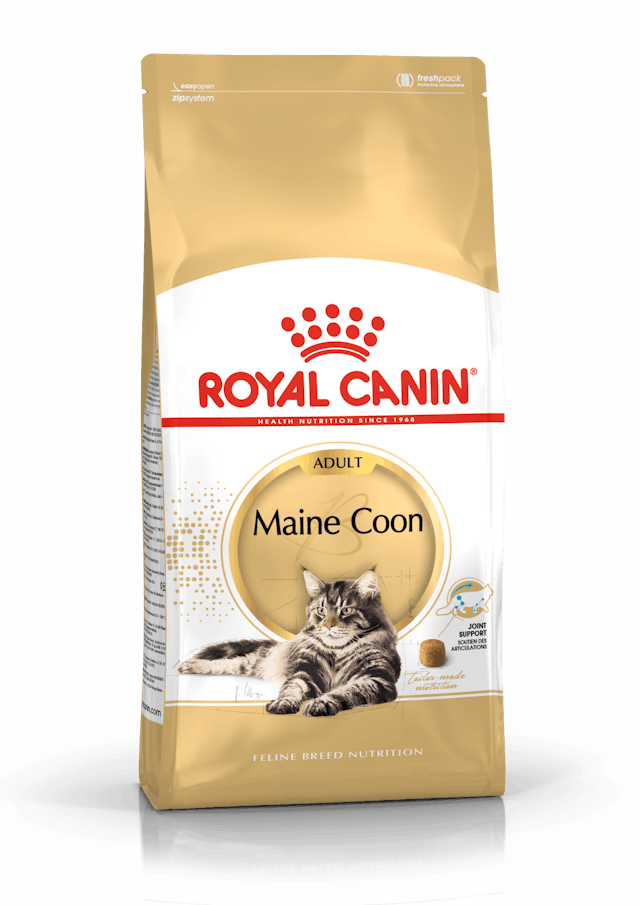 Royal Canin Maine Coon Cibo Secco per Gatti Adulti