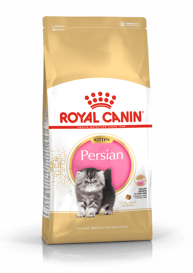 Royal Canin Kitten Persian Cibo Secco per Gattini