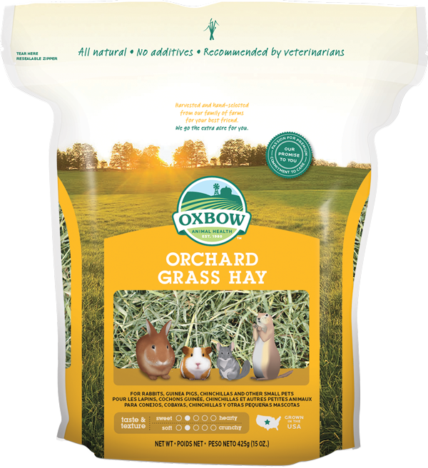 Oxbow Orchard Grass Hay Fieno per Roditori e Conigli