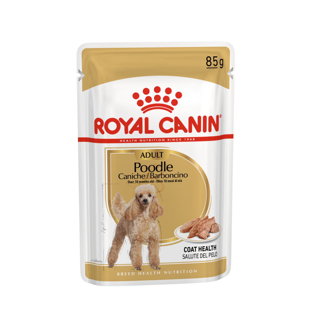Royal Canin Poodle Barboncino 85 Grammi Cibo Umido per Cani Adulti - 12 bustine