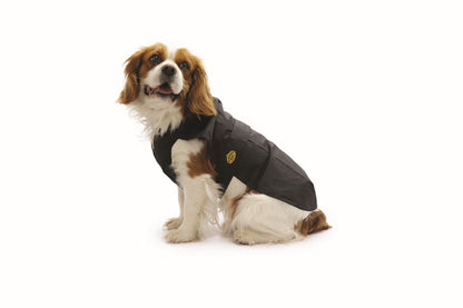 Fashion Dog Cappotto Impermeabile Nero per Cani e Cuccioli