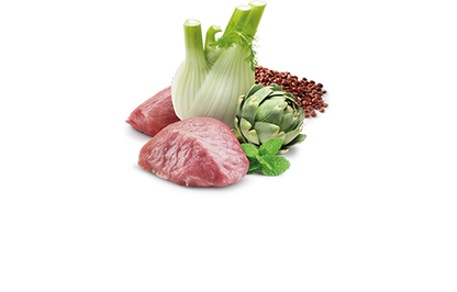 Farmina N&D Digestion Quinoa Agnello 140 grammi Cibo Umido Per Cani - 6 Lattine