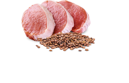 Farmina N&D Neutered Quinoa Maiale 140 Grammi Cibo Umido Per Cani - 6 Lattine
