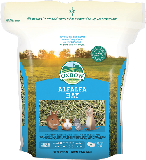 Oxbow Alfalfa Hay Fieno per Roditori e Conigli
