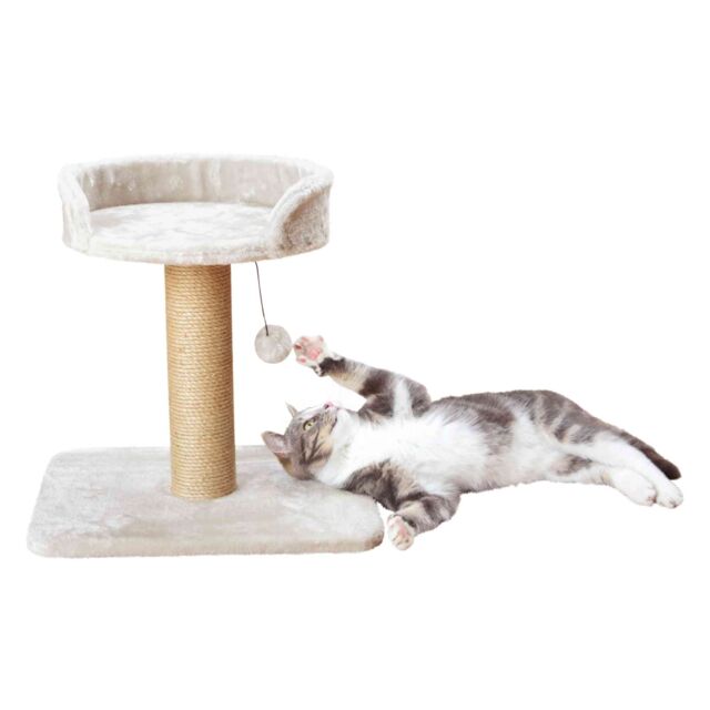 Trixie Tiragraffi Mica Per Gatti e Gattini - Altezza Cm 46