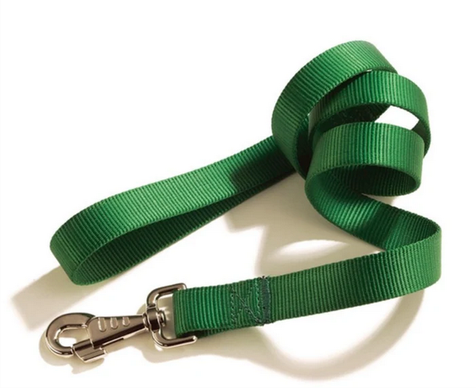 Camon Guinzaglio In Nylon - 18 mm Larghezza x 1000 mm Lunghezza - Per Cani