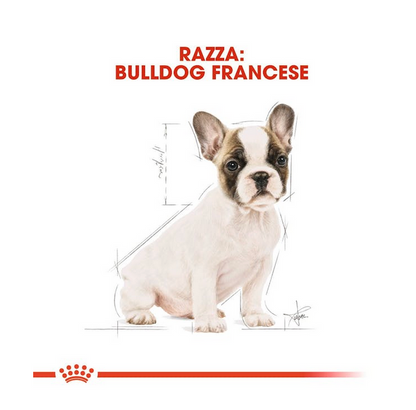 Royal Canin French Bulldog Puppy Crocchette Per Cuccioli