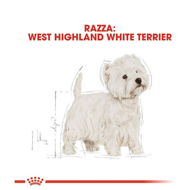 Royal Canin West Highland White Terrier Adult 1,5 kg Crocchette Per Cani Adulti e Maturi