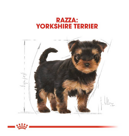 Royal Canin Yorkshire Terrier Puppy 1,5 kg Crocchette Per Cuccioli