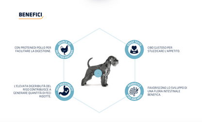 Advance Gastroenteric Dieta Umida Per Cani Adulti - 8 Buste x 150 Grammi