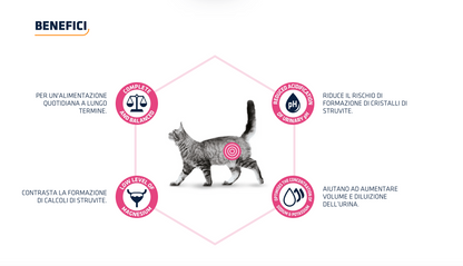 Advance Urinary Dieta Umida Per Gatti - 12 Buste x 85 Grammi