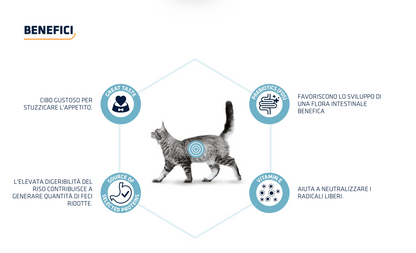 Advance Gastroenteric Dieta Umida Per Gatti - 12 Buste x 85 Grammi