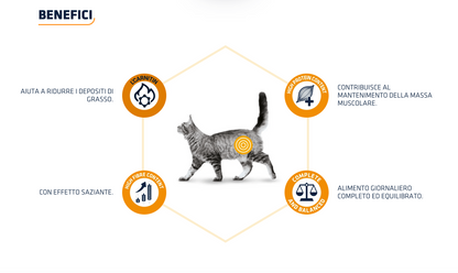 Advance Weight Balance Dieta Umida Per Gatti - 12 Buste x 85 Grammi
