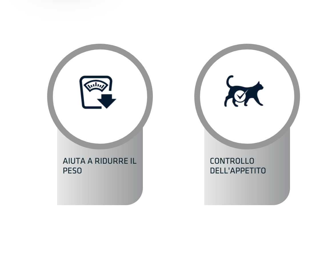 Advance Weight Balance Dieta Umida Per Gatti - 12 Buste x 85 Grammi