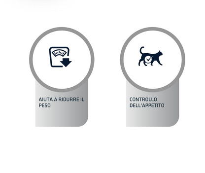 Advance Weight Balance Dieta Umida Per Gatti - 12 Buste x 85 Grammi