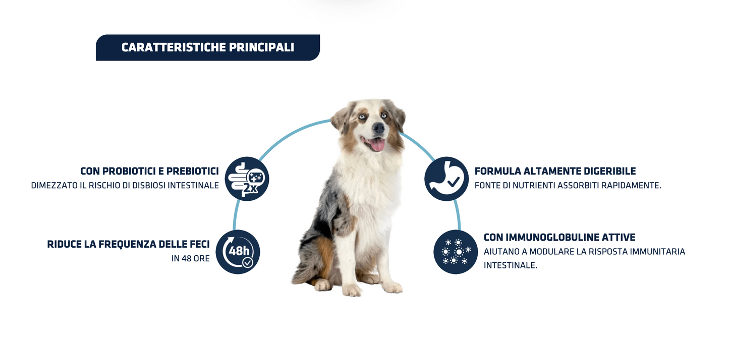 Advance Gastroenteric 12 kg - Crocchette Per Cani Adulti