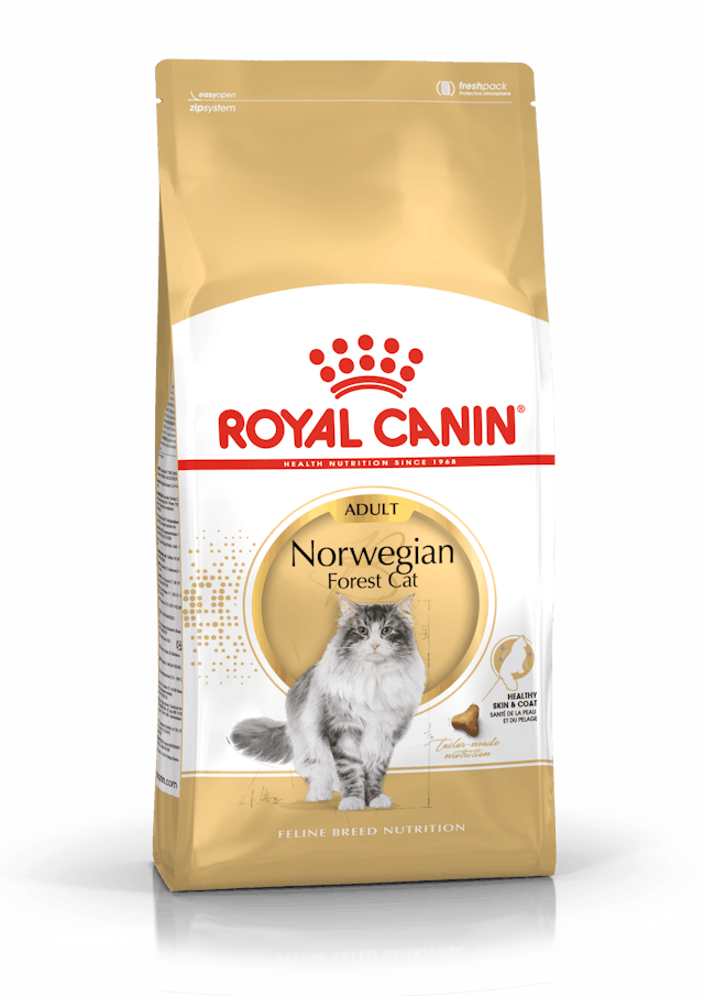 Royal Canin Norwegian Forest Cat 2 Kg Cibo Secco per Gatti Adulti