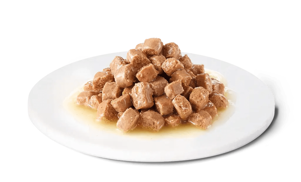 Advance Gastroenteric Dieta Umida Per Gatti - 12 Buste x 85 Grammi