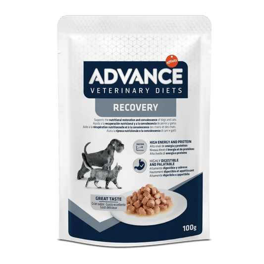 Advance Recovery Dieta Umida Per Cani e Gatti - 11 Buste x 100 Grammi