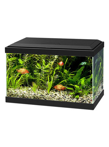 Askoll Acquario Ciano Aqua Light 20 - 17 Litri