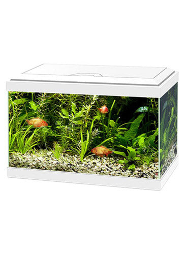 Askoll Acquario Ciano Aqua Light 20 - 17 Litri