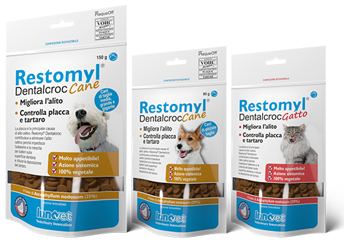 Innovet Restomyl DentalCroc Igiene Orale Per Cani e Gatti