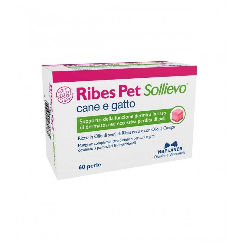 NBF Lanes Ribes Pet Sollievo Perle Per Cani e Gatti